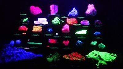 光る石コーナーの写真