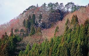 伝ミタケ堂跡の写真