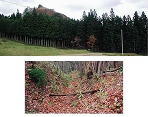 要害館跡の写真